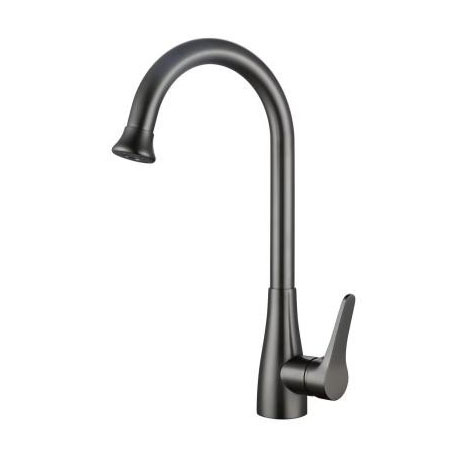 Dual Control Kitchen Faucet