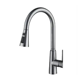 Dual Control Kitchen Faucet