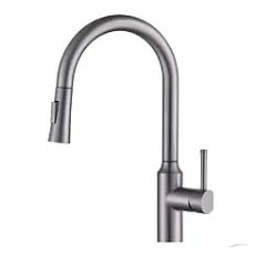 Dual Control Kitchen Faucet